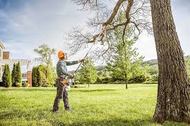 Best Landscape Design and Installation  in Brookfield, WI