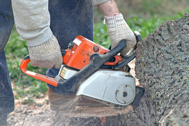 Best Lawn Irrigation Installation and Maintenance  in Brookfield, WI